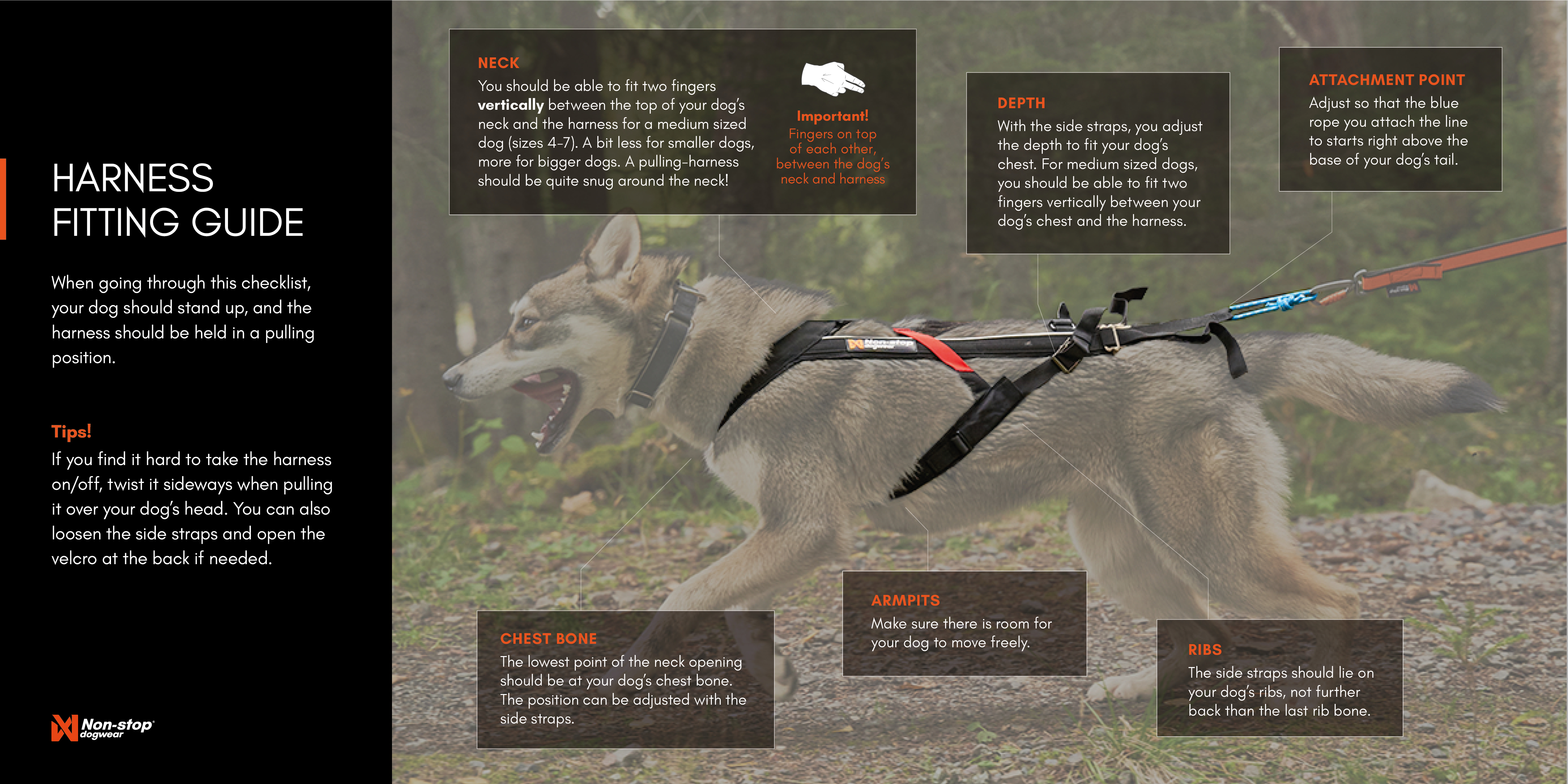 harness-fitting-guide-1-