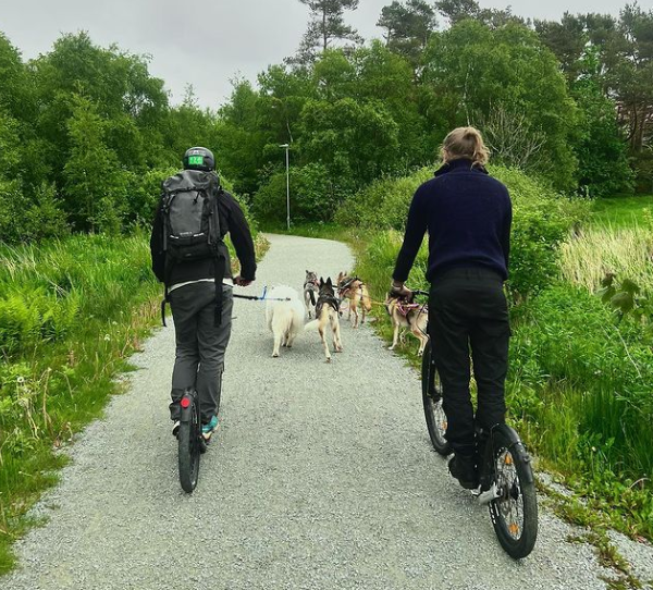 Skjermbilde 2022-07-27 204428 Skjermbilde 2022-07-27 204428