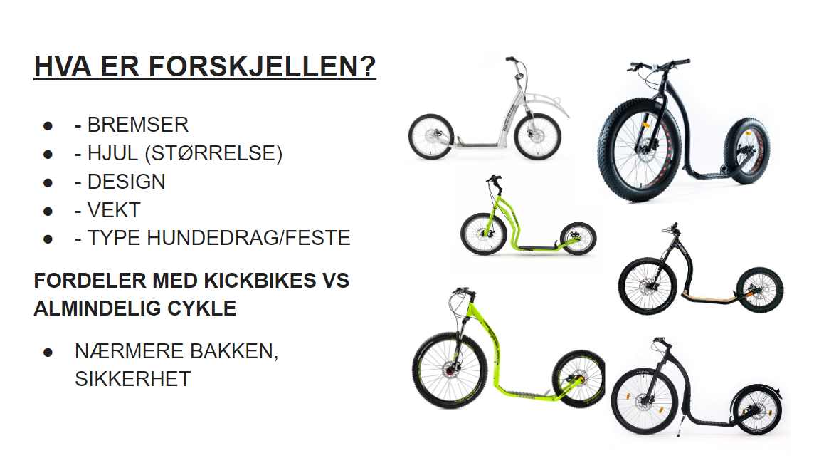 Skjermbilde 2022-07-29 113722