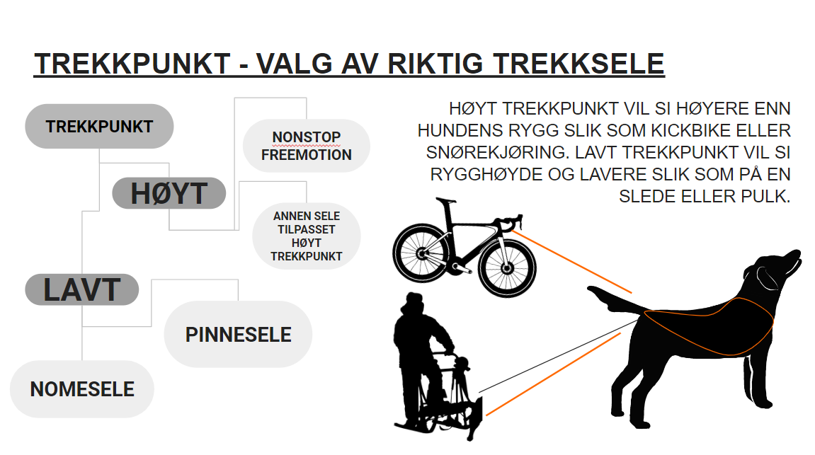 Skjermbilde 2022-07-29 113825