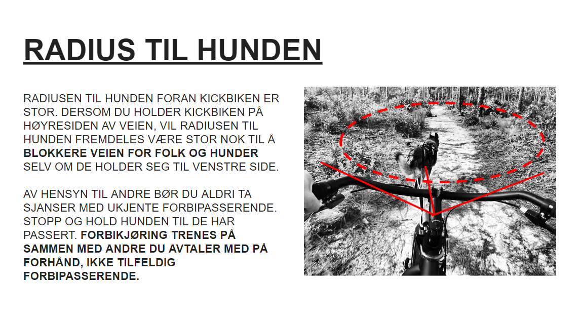 Skjermbilde 2022-07-29 113935