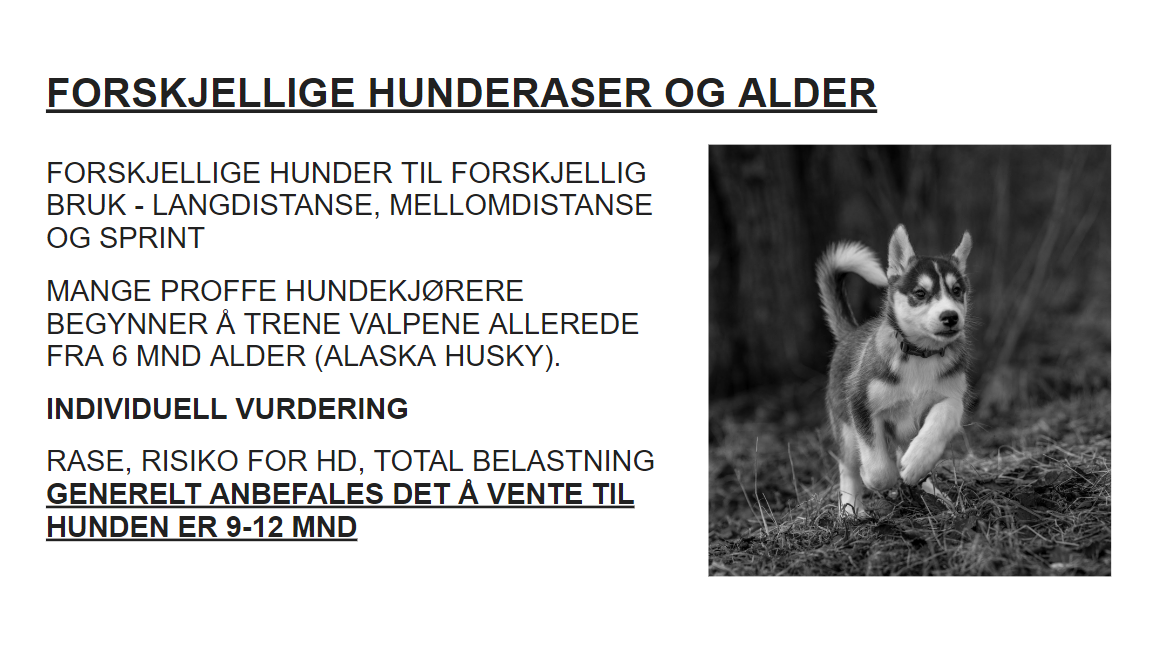 Skjermbilde 2022-07-29 114021